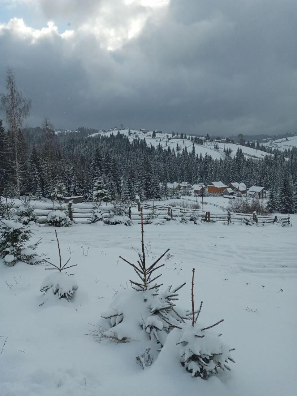 Котеджі Зоряне Небо Bukovel Exterior photo